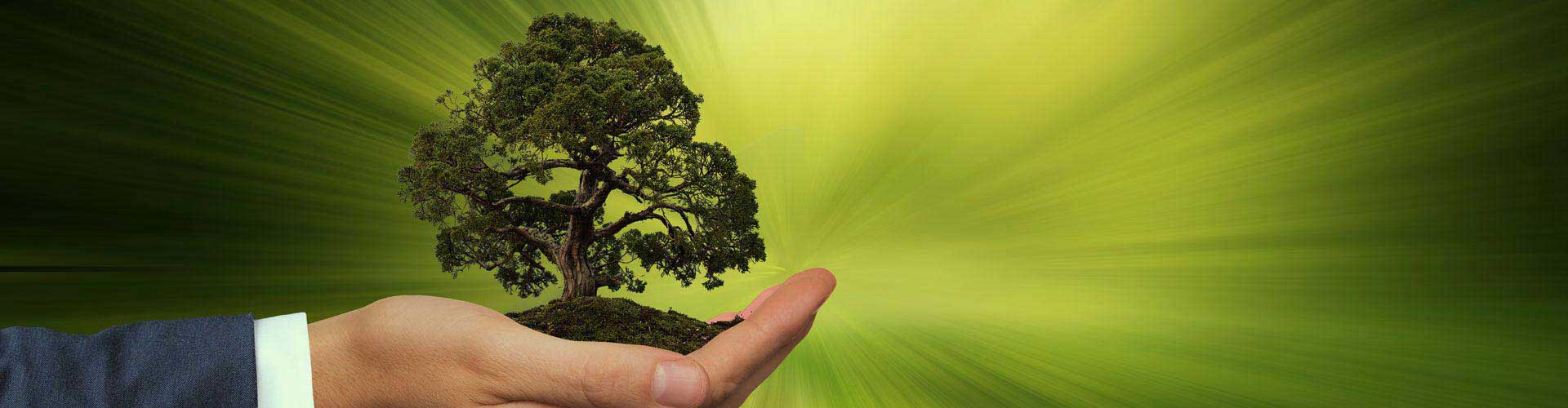 Экологический менеджмент